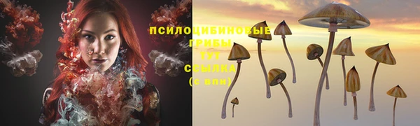 a pvp Володарск