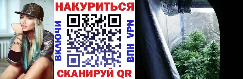 Бошки Шишки OG Kush Западная Двина